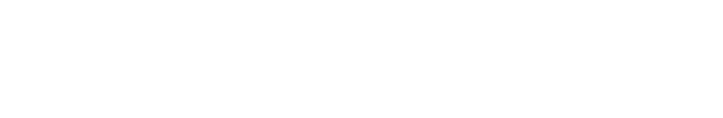 euromax logo white colour